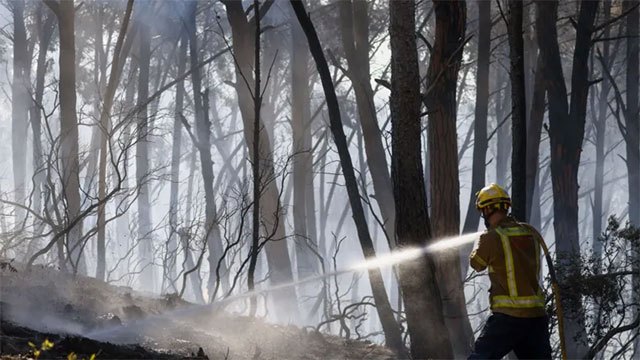 Wildfires in southern Spain kill 12, emergency agency says