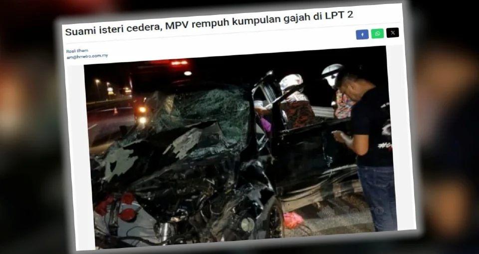 Nanta: LPT2 concessionaire to review long-term safety measures after elephant collision