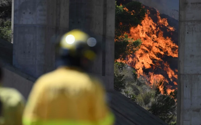 Spain confirms 12 foreigners among 13 wildfire victims