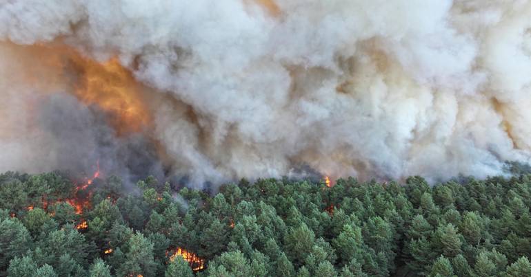 "Very violent" fire in Fontainebleau, 60 km from Paris