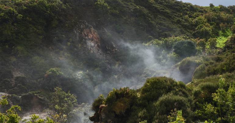 The reduction is due to the decrease in activity since the beginning of the year, according to the authorities