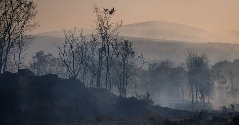 Fire in Vila Pouca de Aguiar mobilizes 7 air means