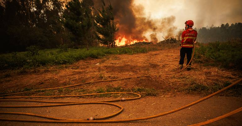 Vouzela Fire: 15,000 hectares destroyed