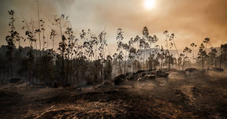 Ambassador Luisa Barateiro warns that Portugal is one of the most vulnerable European countries to forest fires