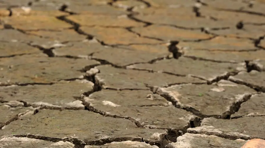 IPMA alerts El Niño very strong in the coming months