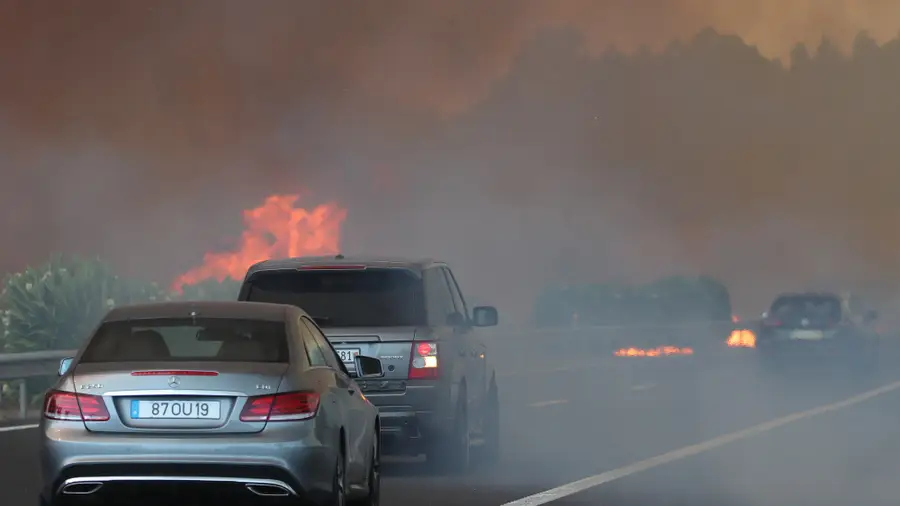 Fire forces the IP3 court between Tondela and Santa Comba Dão