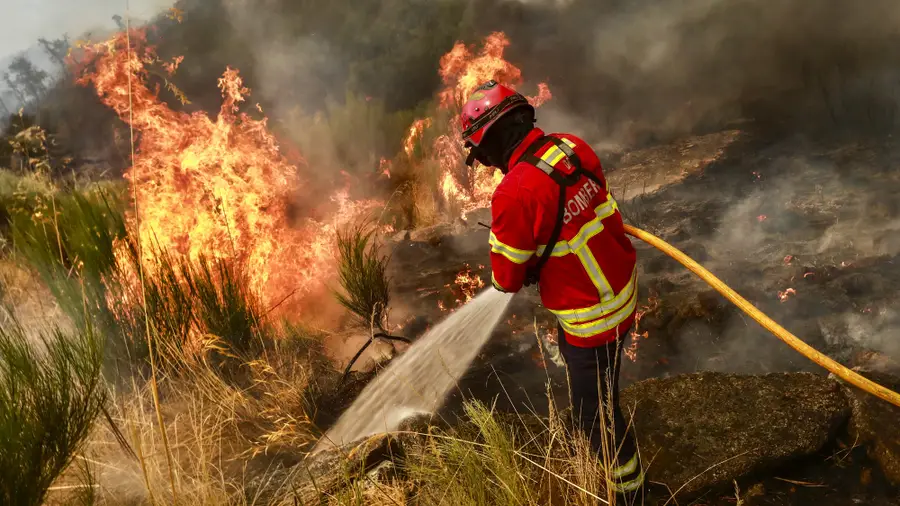 Eight councils in maximum fire hazard