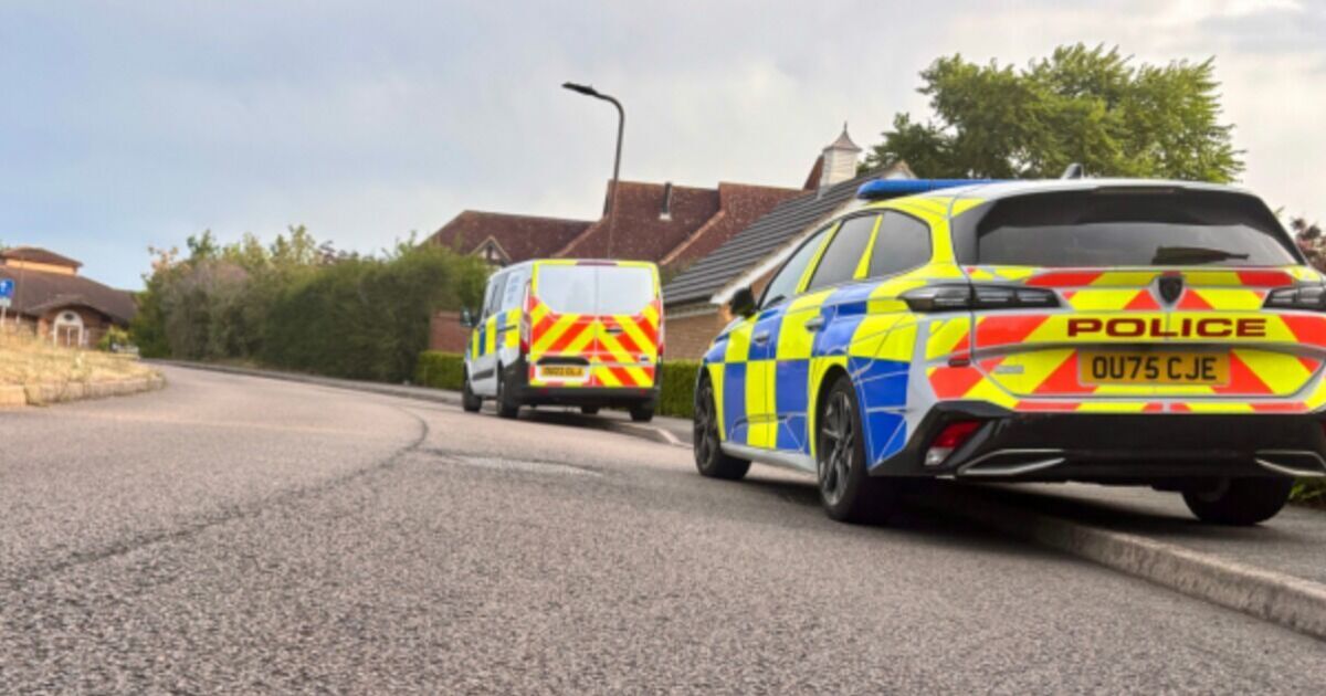Great Denham murder probe as mum and 2 kids found dead and 'suspect flees country'