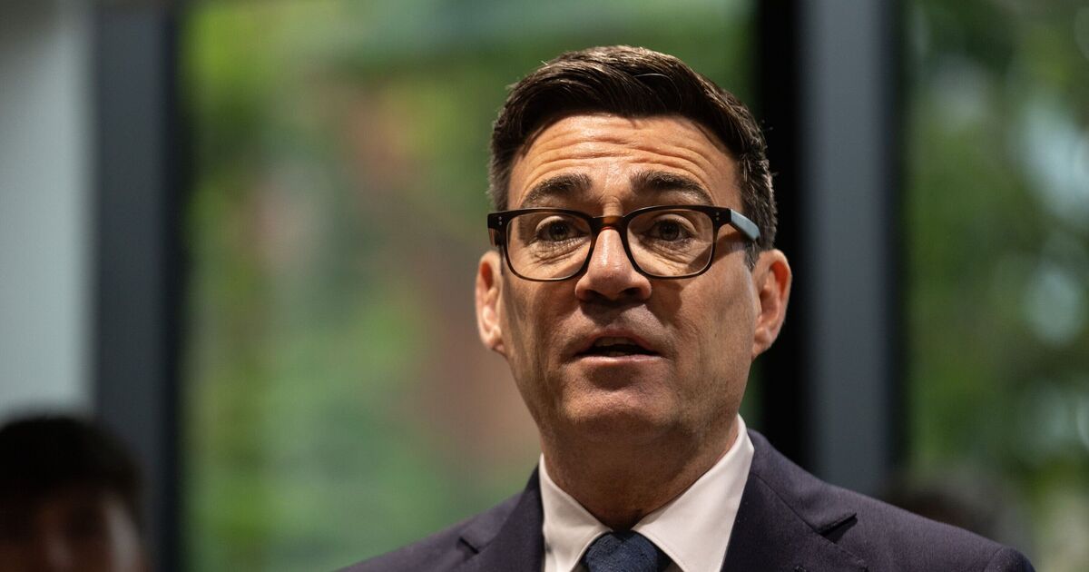 Andy Burnham descarta elecciones rápidas - 'No creo que sea correcto'