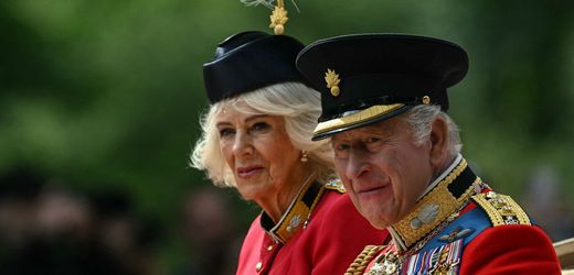 The 77-year-old monarch received his younger son and his family for a private meeting