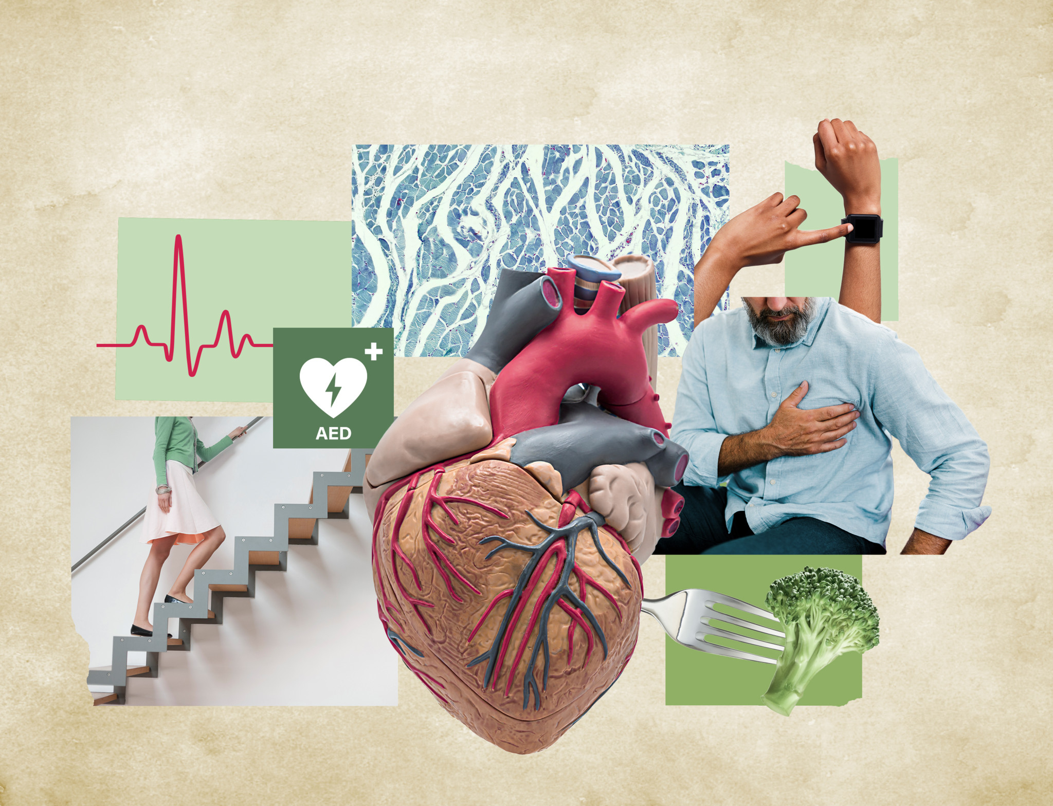 Tips from the cardiologist: When heart trippers are dangerous – and why heartbreak can really harm the heart