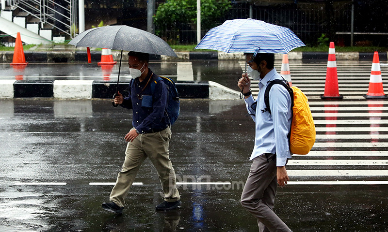 JPNN