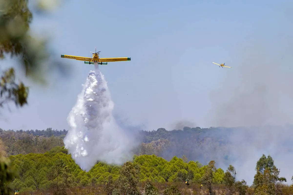 La UME se incorpora al incendio de Niebla Huelva en el que trabajan 113 efectivos