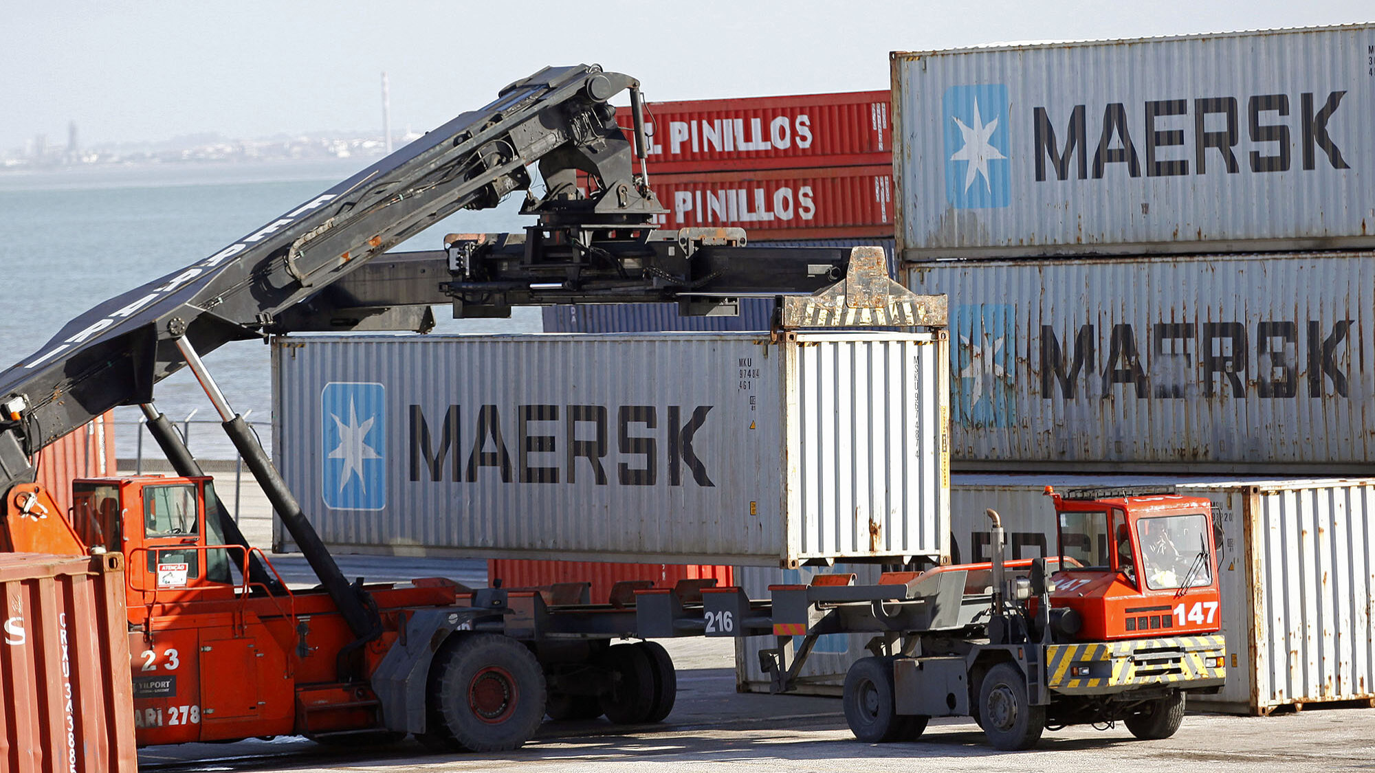 Maersk transport company will resume traffic through the Suez Canal
