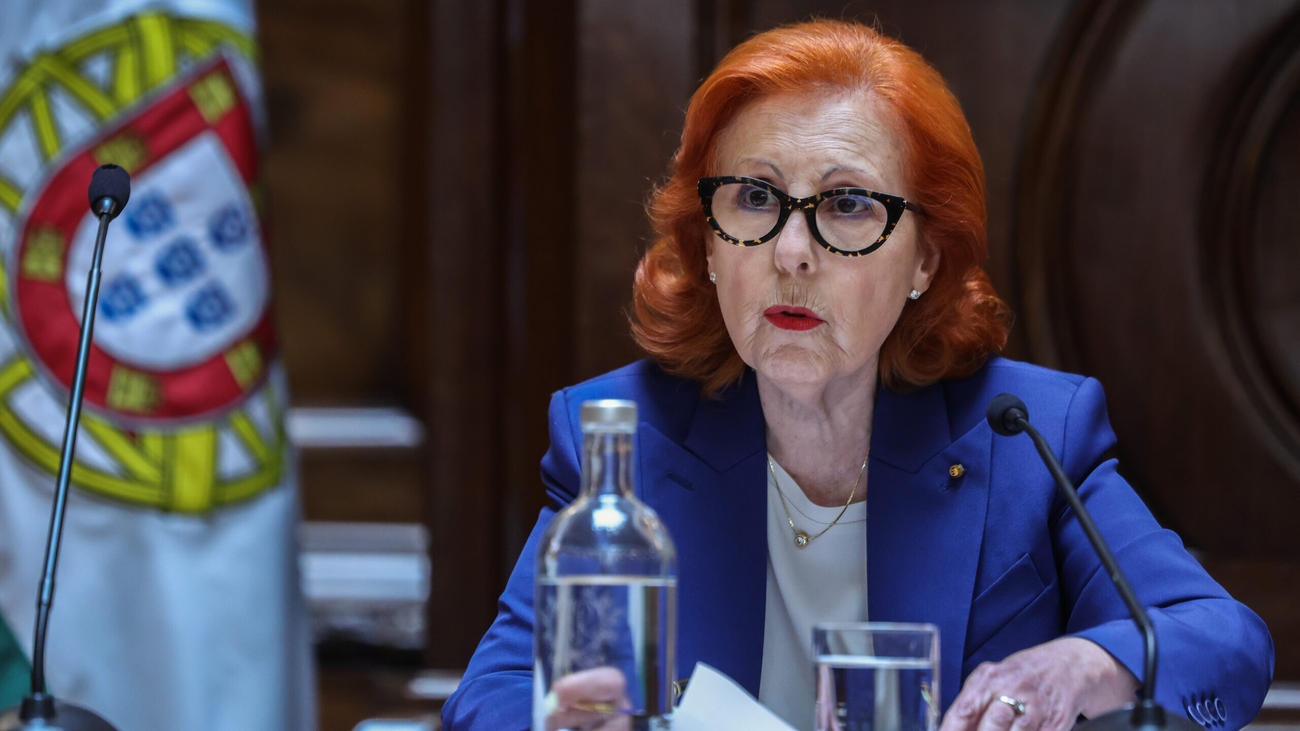 Portugal and Spain call for "special attention" to interconnections with France