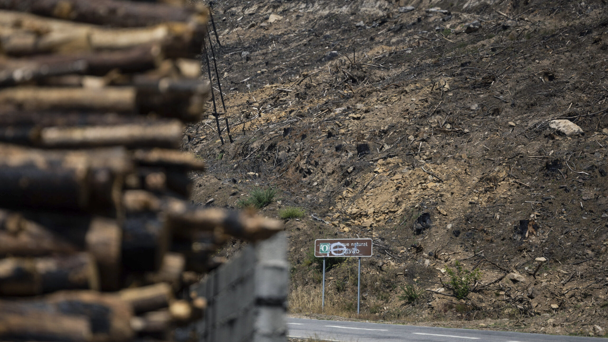 Environ 60 municipalités de l'intérieur et Algarve en danger maximal d'incendie