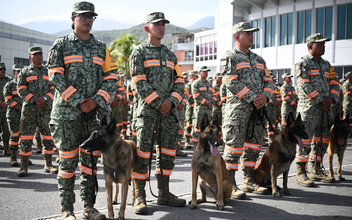 Dogs, fire, drones, forensics: this is how the world helps Venezuela