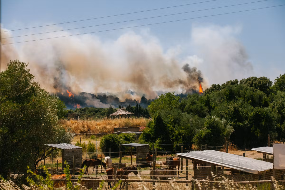 In France, firefighting capabilities are already saturated at the beginning of July, deplores a geographer