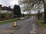 Major update after girl, two, found dead in home in Chertsey