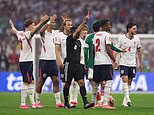 Jordan Henderson suffers 'really bad' freak injury in bizarre fall during England's celebrations against Mexico at the World Cup