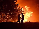 Thousands flee raging wildfires in southern Europe