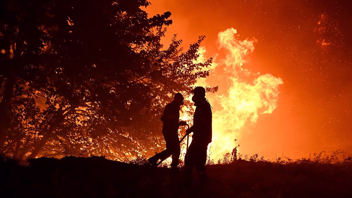 Thousands flee raging wildfires in southern Europe