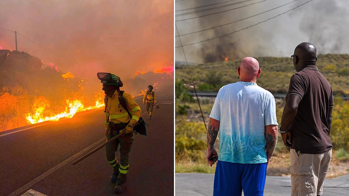 Spanish wildfire victims burned in cars as roads turned into death traps