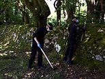 UK police release suspect held over murder of Ann Widdecombe