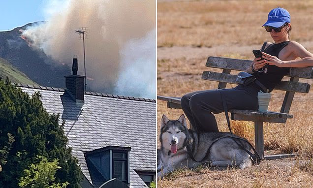 Daily Mail (Mail Online) - Home