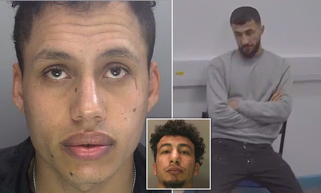 Daily Mail (Mail Online) - Home