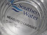 Southern Water condamné à une amende de 7 millions de livres sterling pour avoir déversé illégalement des eaux usées dans les eaux côtières