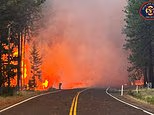 Washington faces its worst natural disaster in history as thousands of people are displaced by wildfires