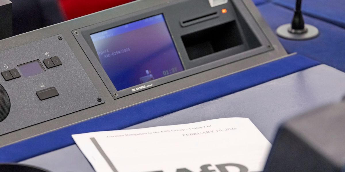 Parliament votes for proceedings against AfD party family
