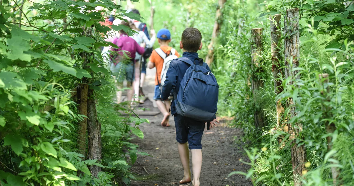 Paris: 2000 students enrolled less in leisure center this summer