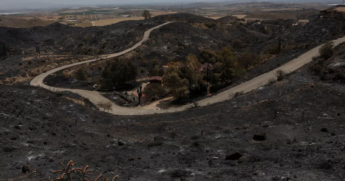 Firefighters hope to contain the fire thanks to improved conditions, while Spanish Prime Minister goes on site