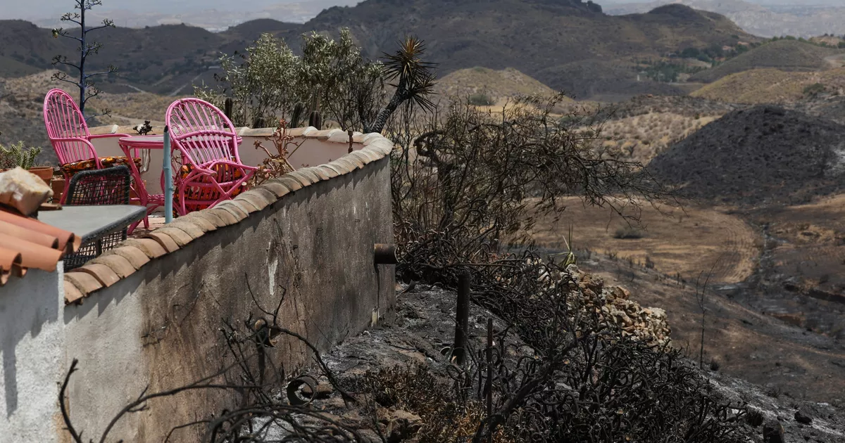 Son of Belgian wildfire victim disputes Spanish officials' account of warnings