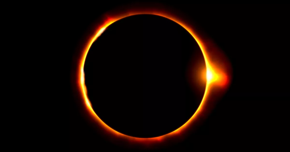 Giraffes running out and turtles mating: do eclipses disturb animals?