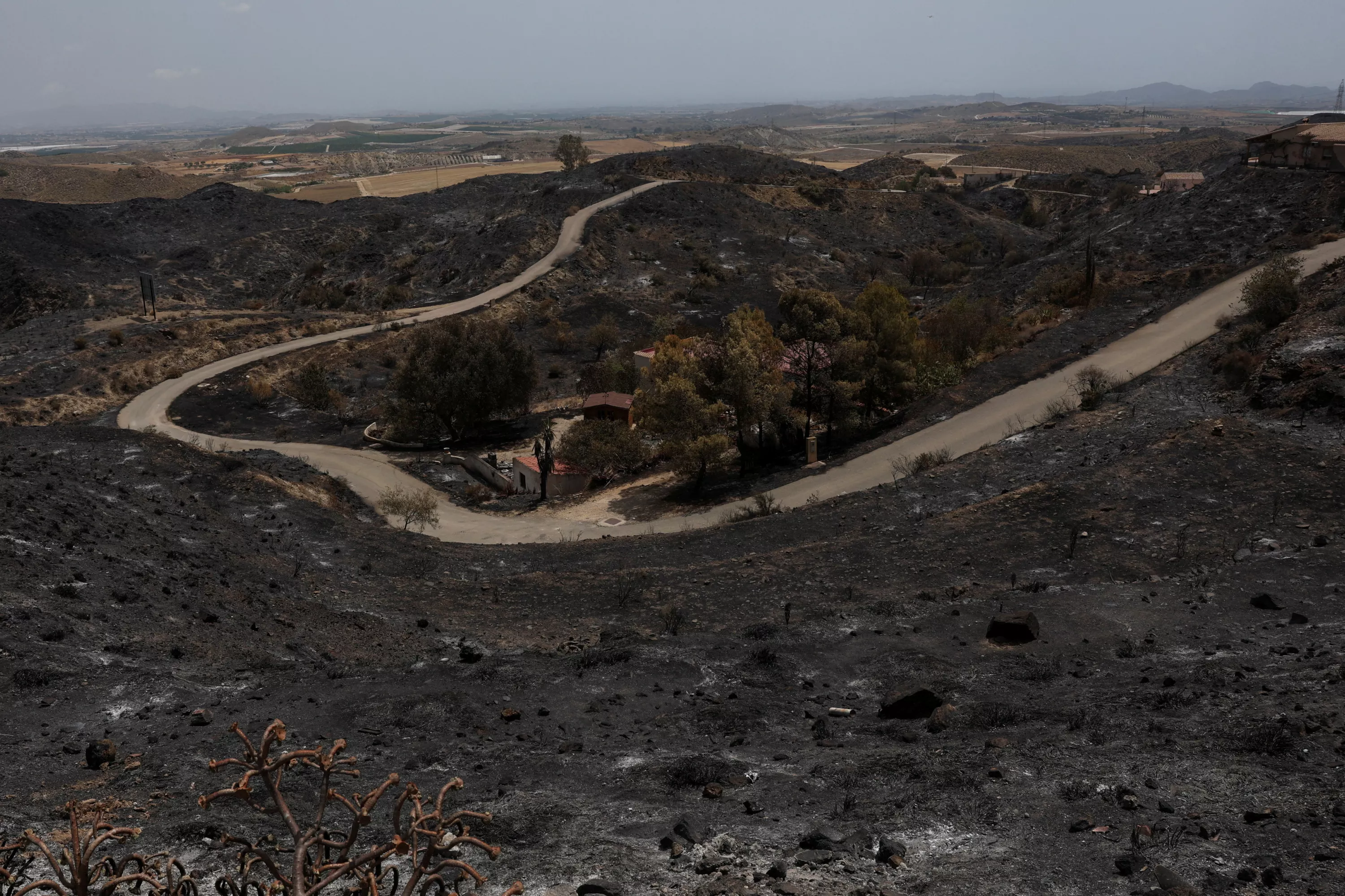 Sánchez visits Monday fire zone in Almería that caused 12 deaths