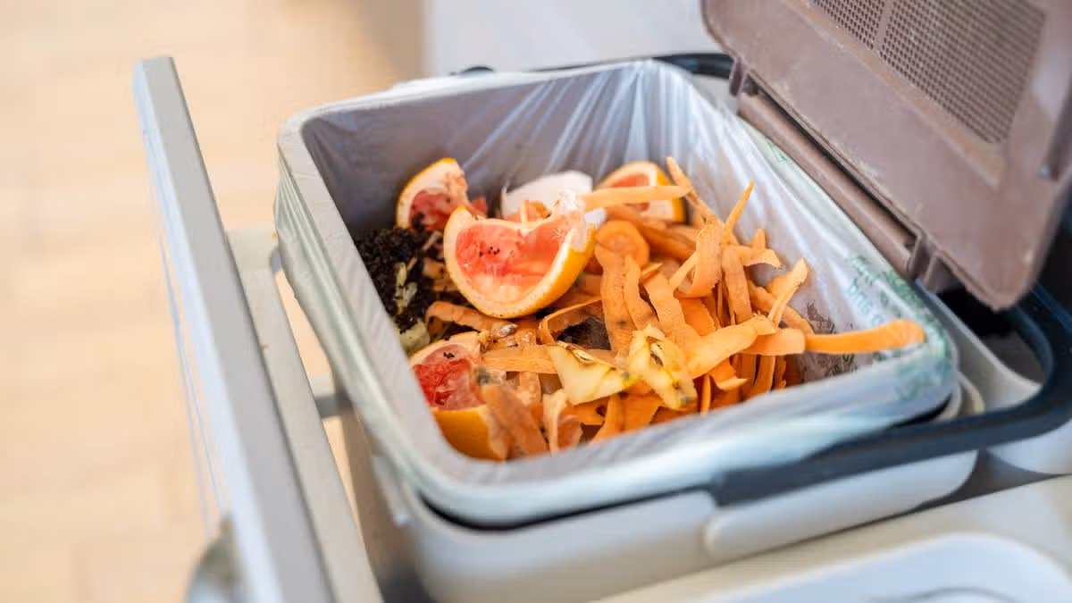 Kitchen bins will never smell if you use natural ingredient cleaning expert loves