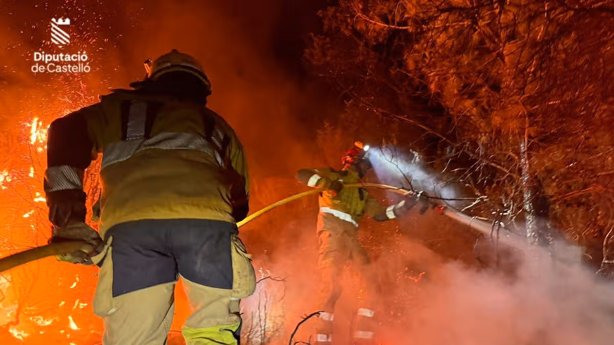 Los Gallardos horror wildfire: 'Brits' among 11 dead in Spain as bodies found in burnt vehicles