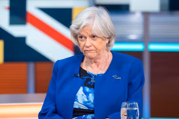 Ann Widdecombe's final messages revealed in haunting exchange as she wrote 'panic over!' before death