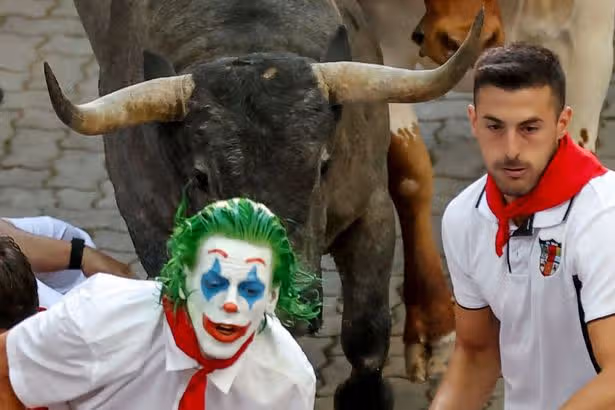 Runner gored in the face at Spain's annual bull run festival