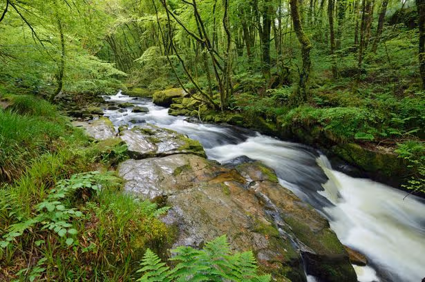 Body of man, in 70s, recovered from river in Cornwall in 'tragic accident'