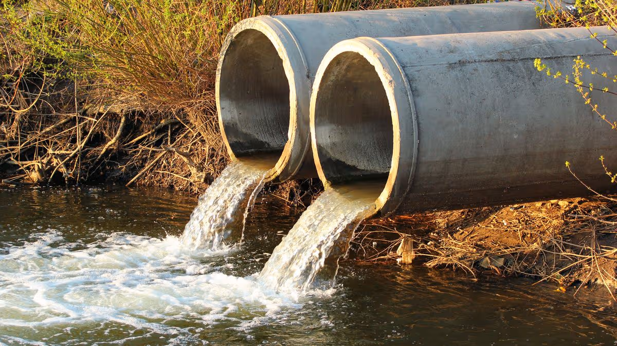 Severn Trent Water spared fine despite serious sewage failures