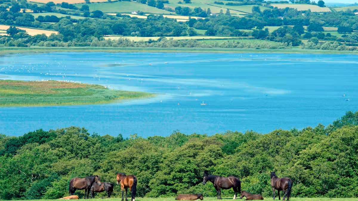Warning issued to anyone visiting Llangorse Lake