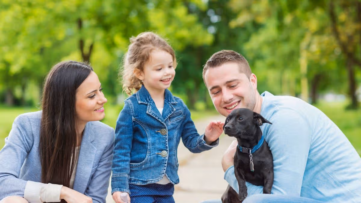 Kids need to learn this 'do not approach' sign from dog owners