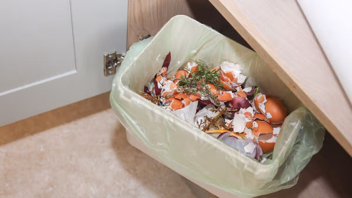 Common kitchen item could prevent bin juice and bad smells