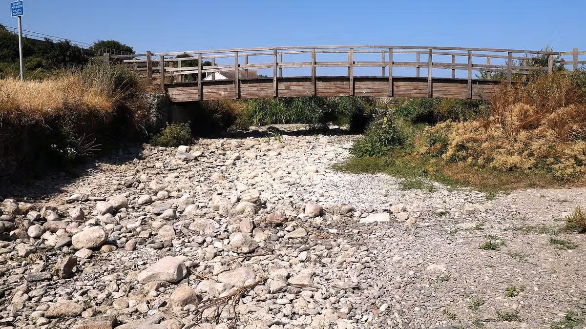 Thousands of fish found dead at dried up Welsh river