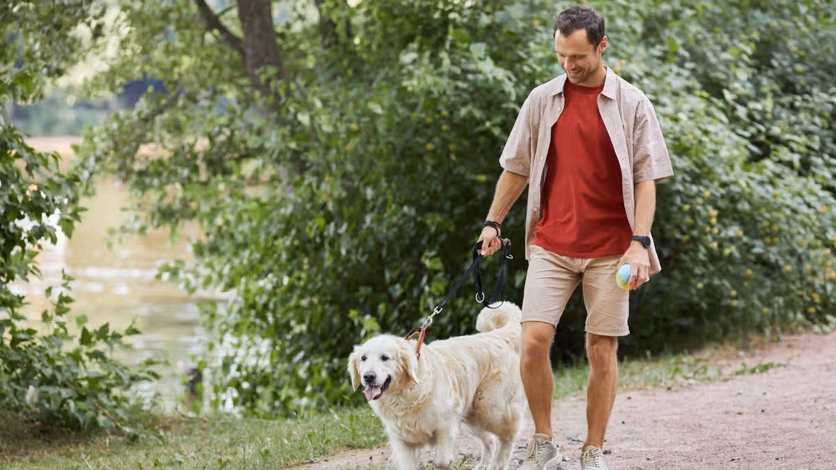 Pet owners urged to keep one item in pocket whenever walking their dog