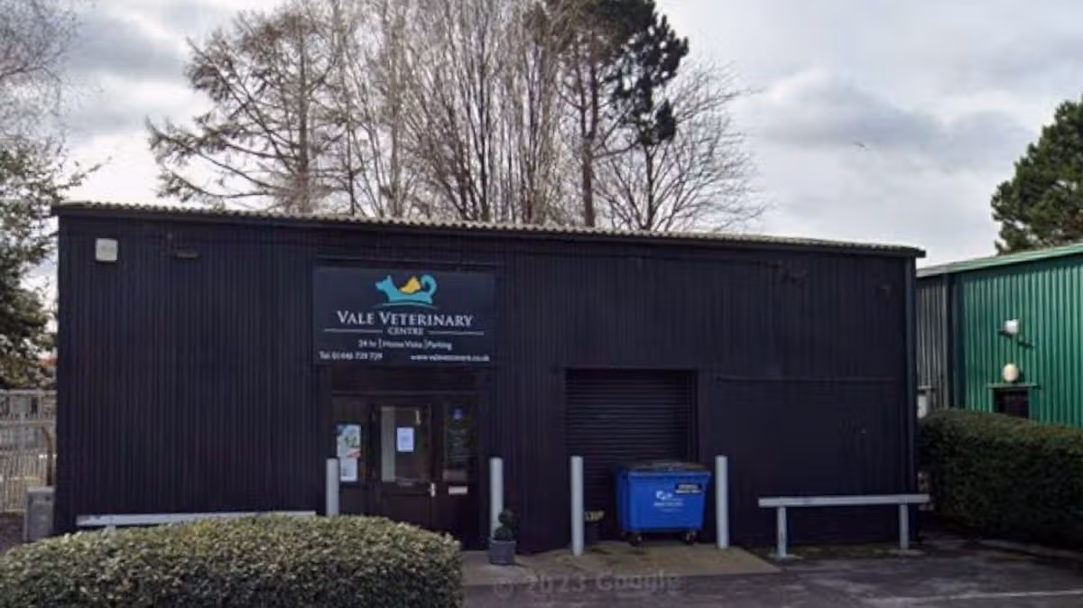 Family-run vet announces sudden closure of all of its branches